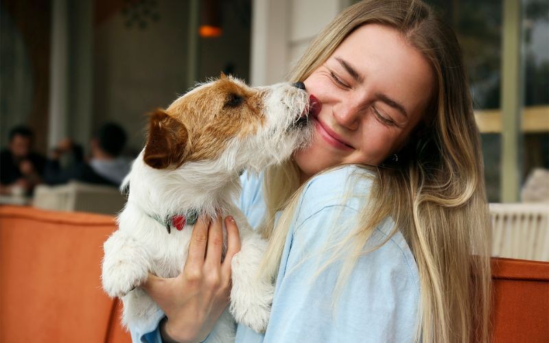 Het decoderen van hondengedrag: Waarom honden je gezicht likken